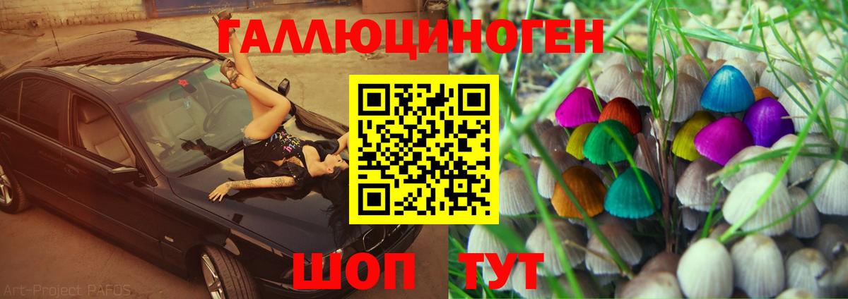 Сухой Лог  Галлюциногенные грибы GOLDEN TEACHER  Вход с VPN 